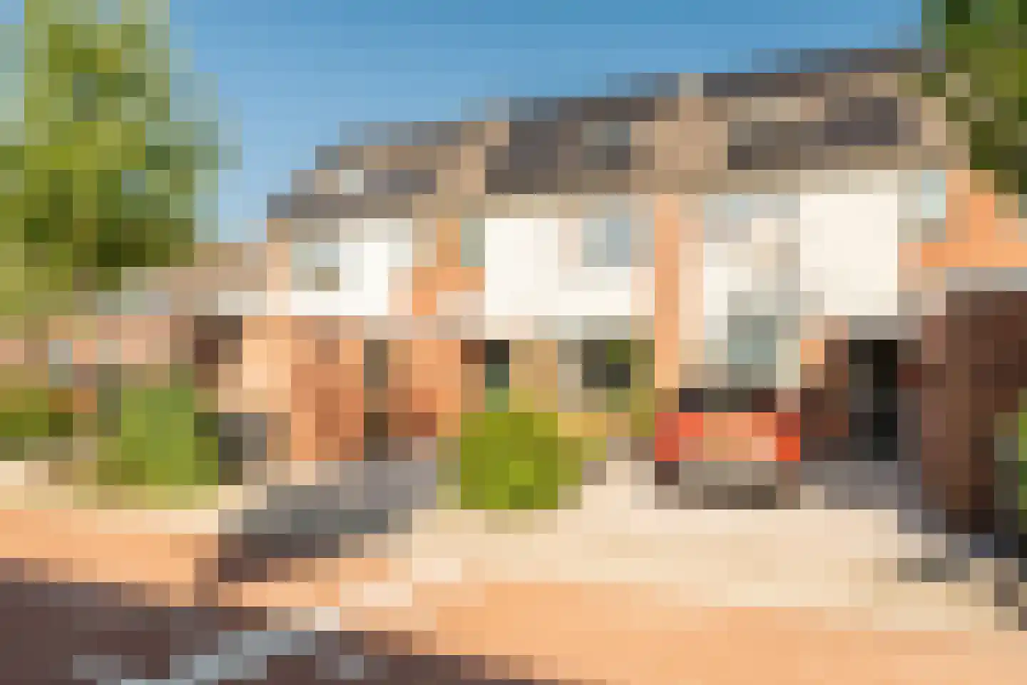 Speenkruid 40 Diemen thumbnail 48