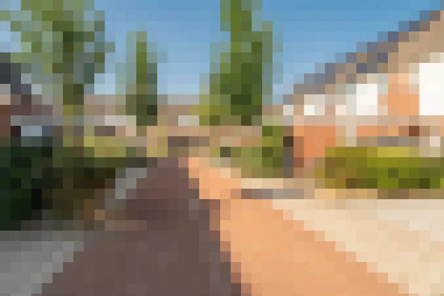 Speenkruid 40 Diemen thumbnail 49