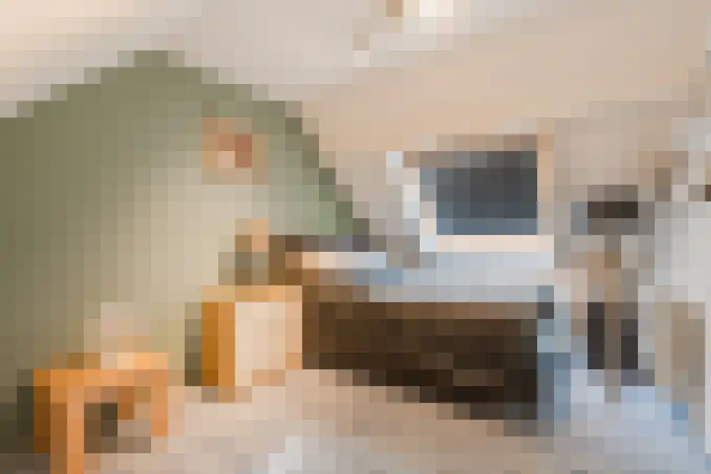 Speenkruid 40 Diemen thumbnail 5