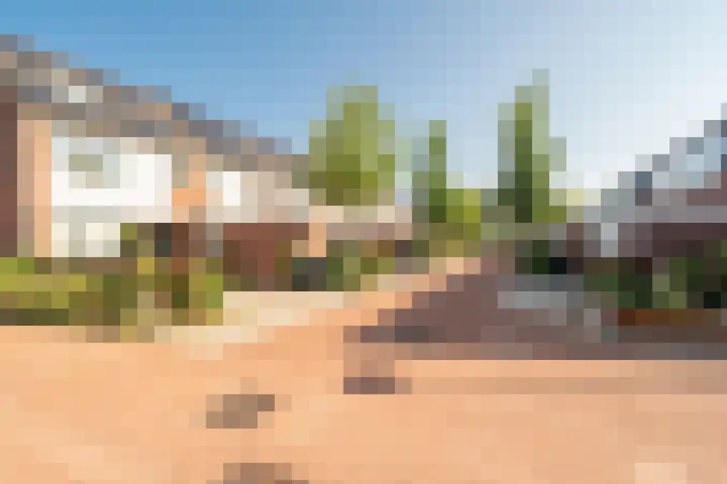 Speenkruid 40 Diemen thumbnail 50
