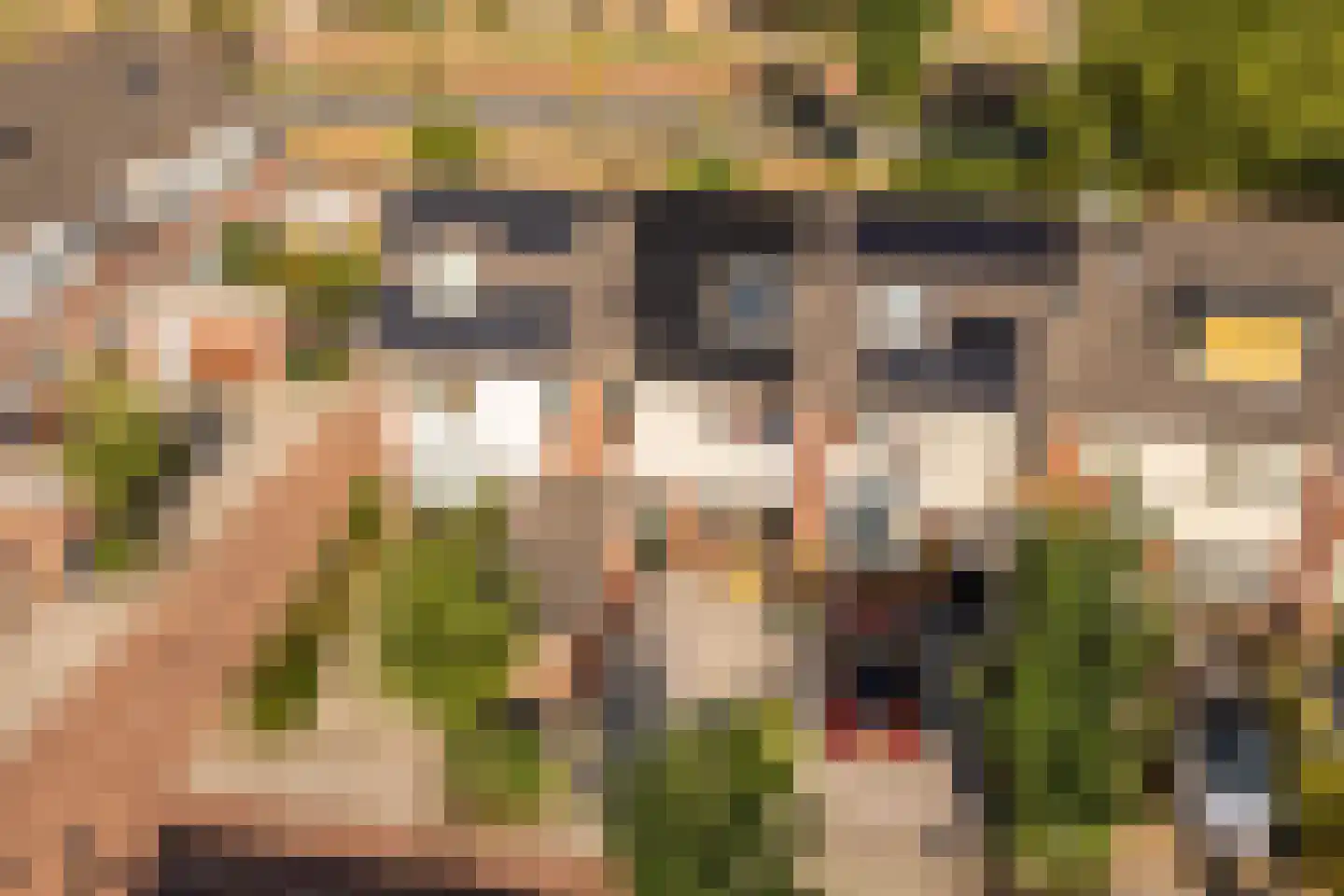 Speenkruid 40 Diemen thumbnail 53