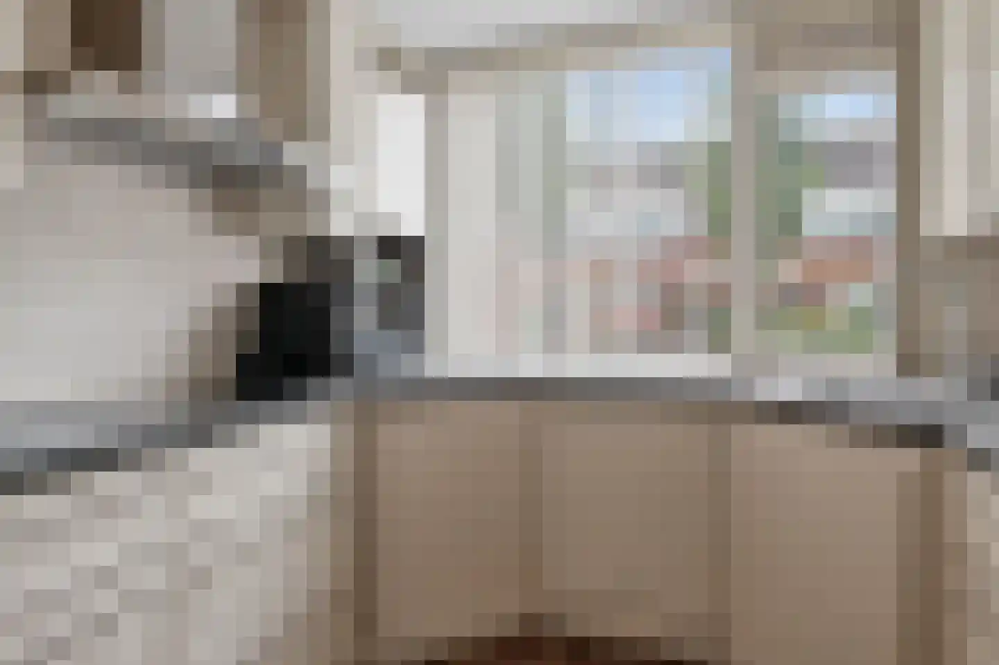 Speenkruid 42 Diemen thumbnail 10