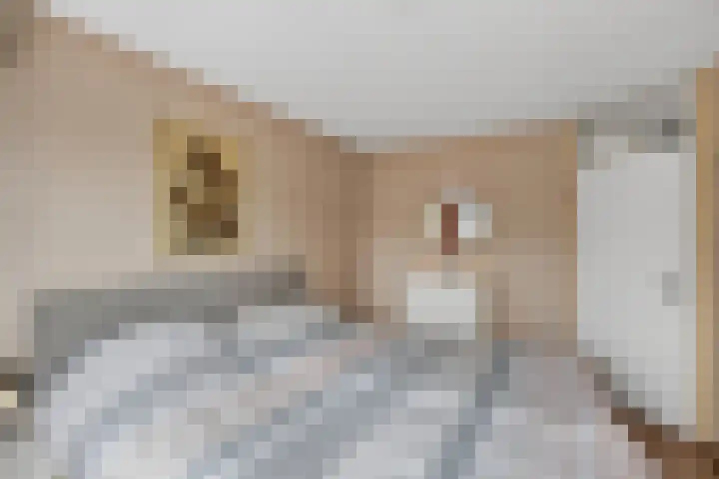 Speenkruid 42 Diemen thumbnail 18