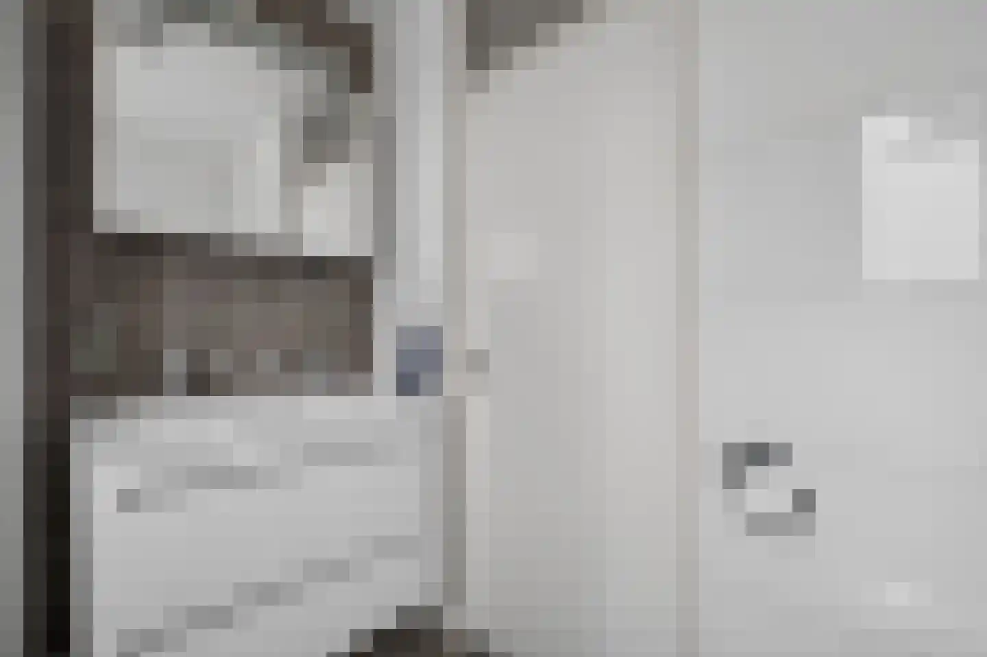 Speenkruid 42 Diemen thumbnail 23