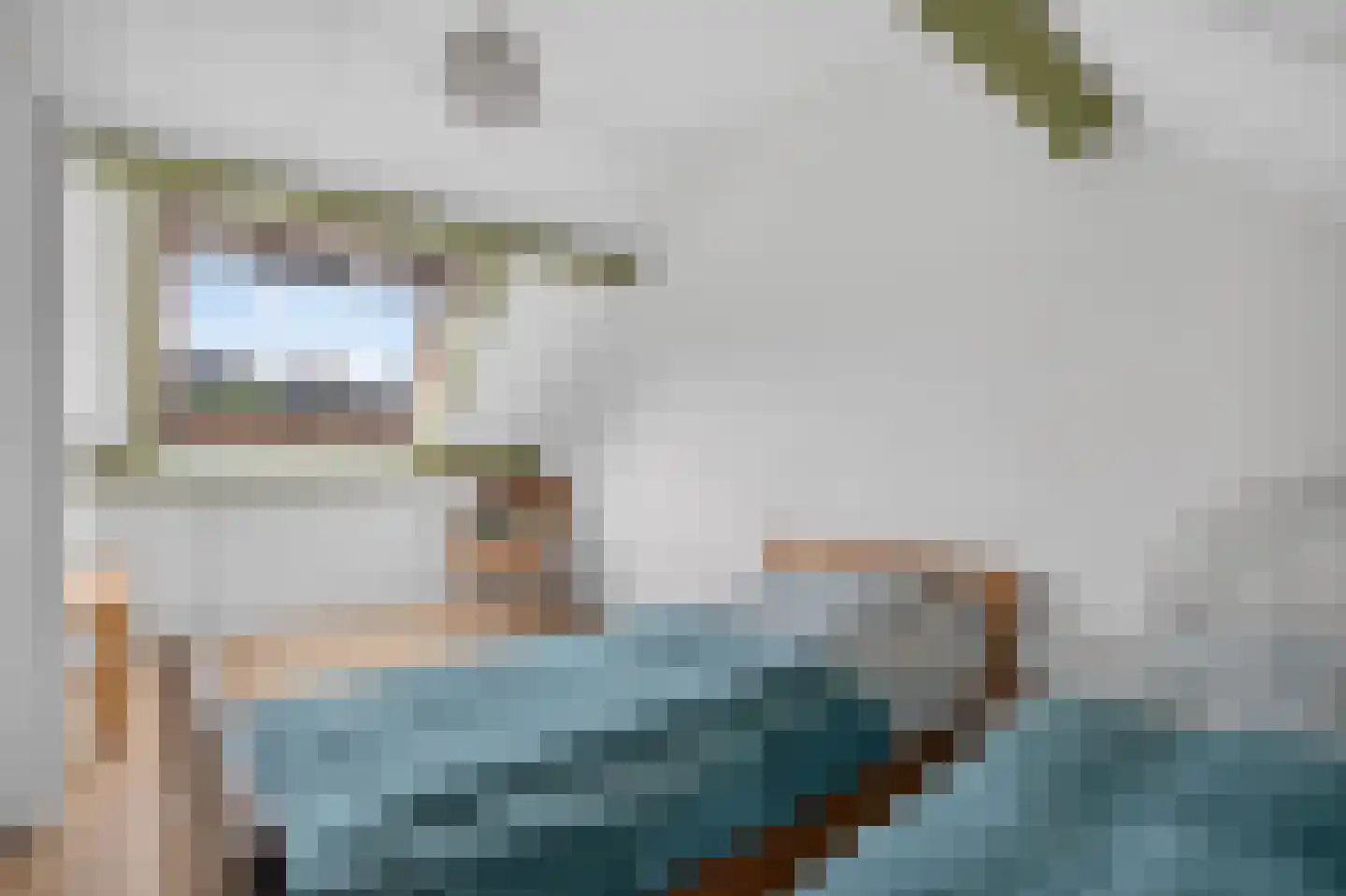 Speenkruid 42 Diemen thumbnail 24