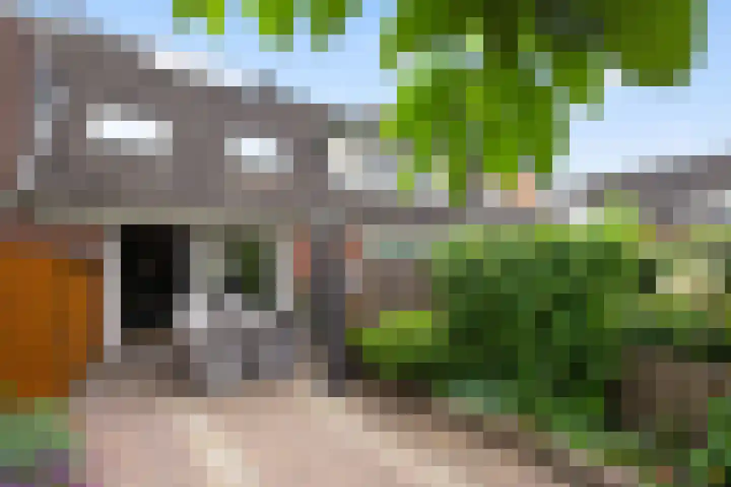 Speenkruid 42 Diemen thumbnail 28