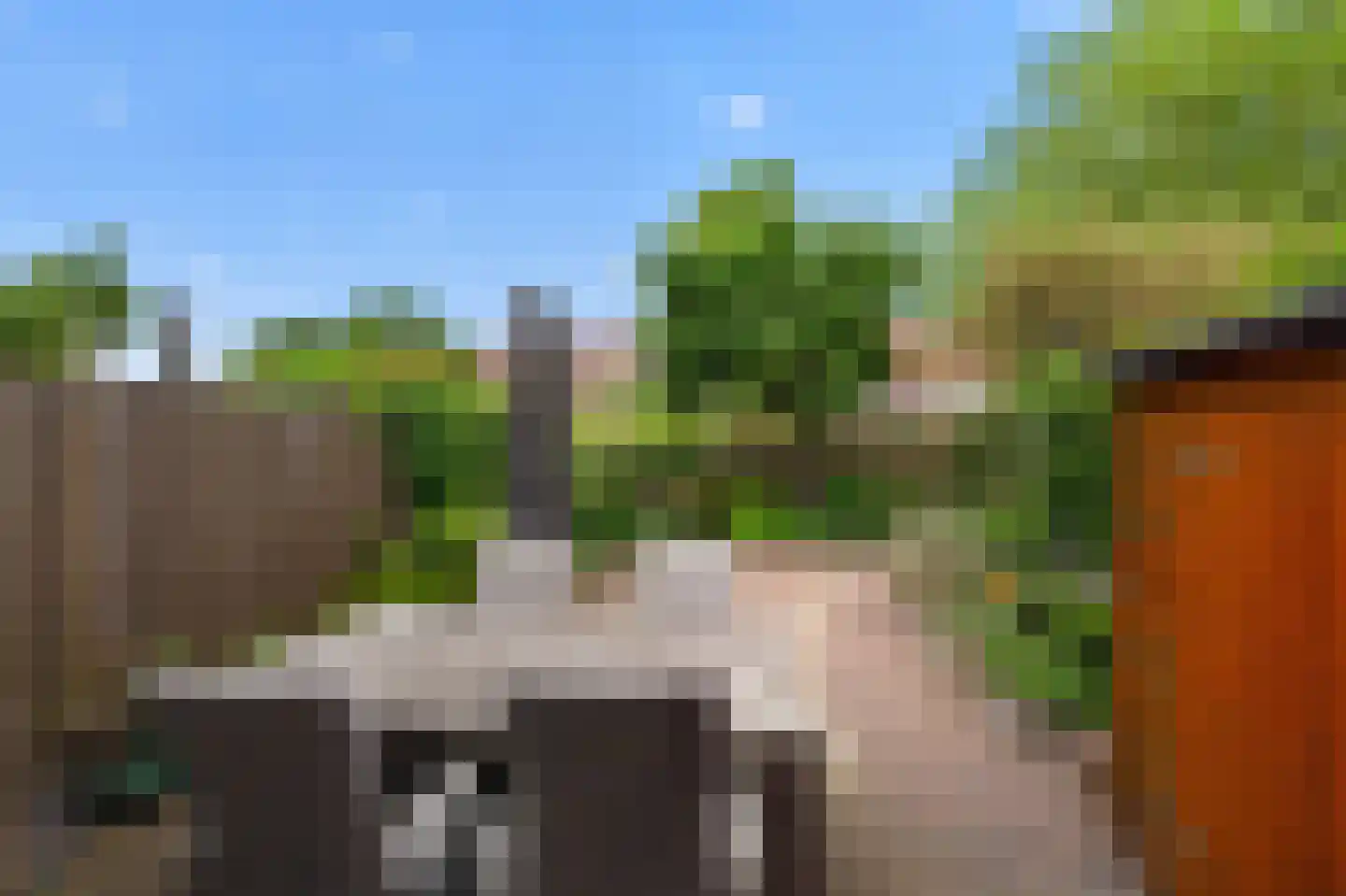 Speenkruid 42 Diemen thumbnail 29