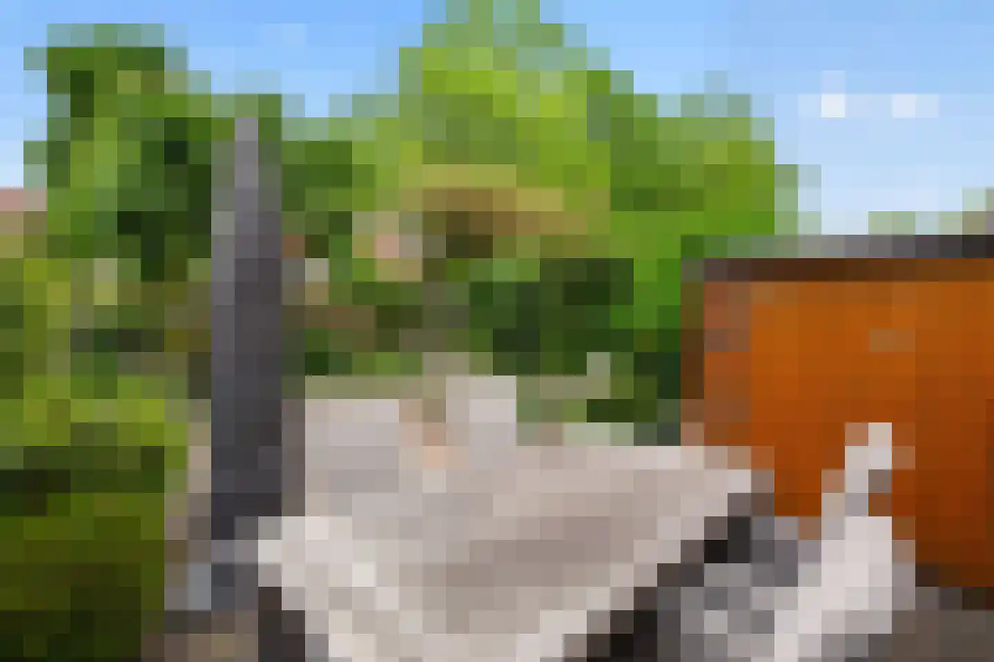 Speenkruid 42 Diemen thumbnail 30