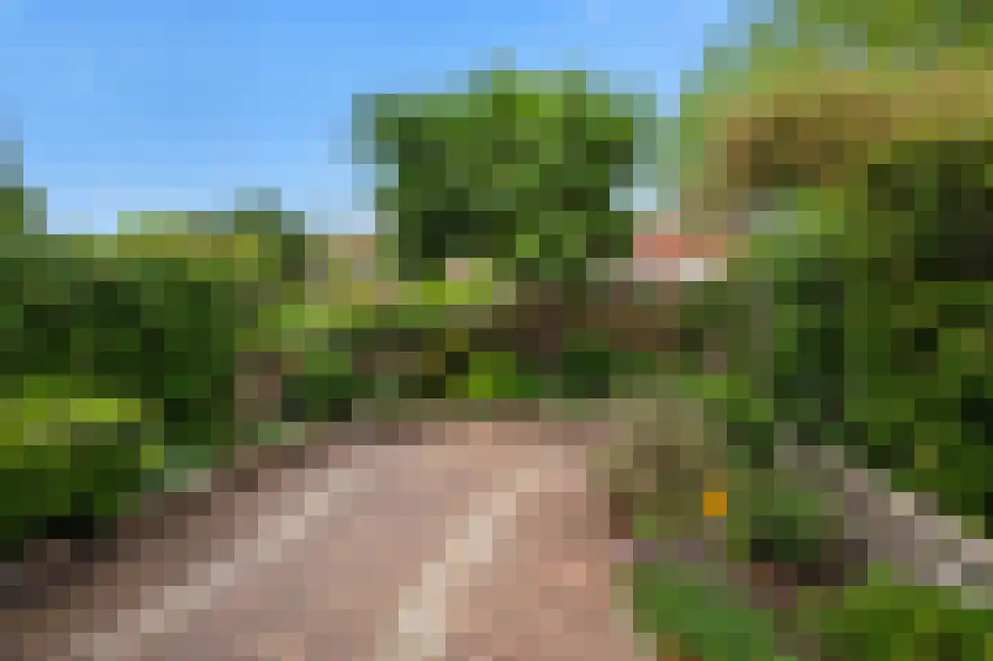 Speenkruid 42 Diemen thumbnail 31