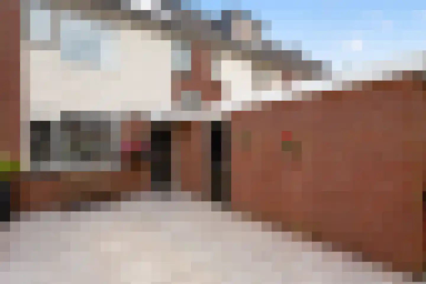 Speenkruid 42 Diemen thumbnail 32