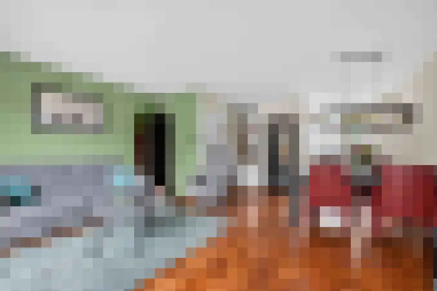 Speenkruid 42 Diemen thumbnail 5