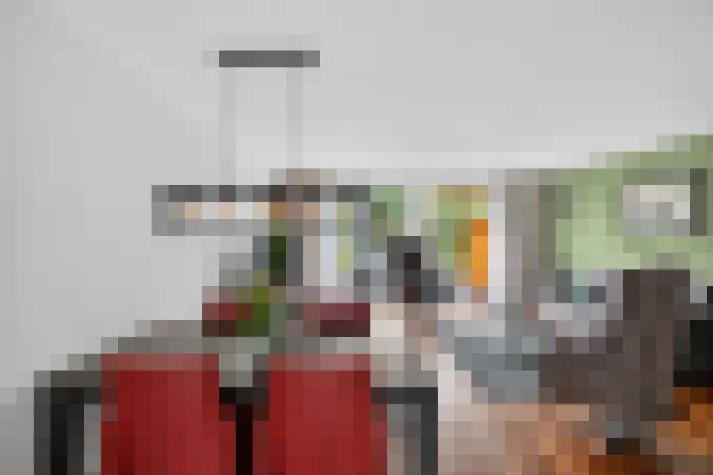 Speenkruid 42 Diemen thumbnail 7