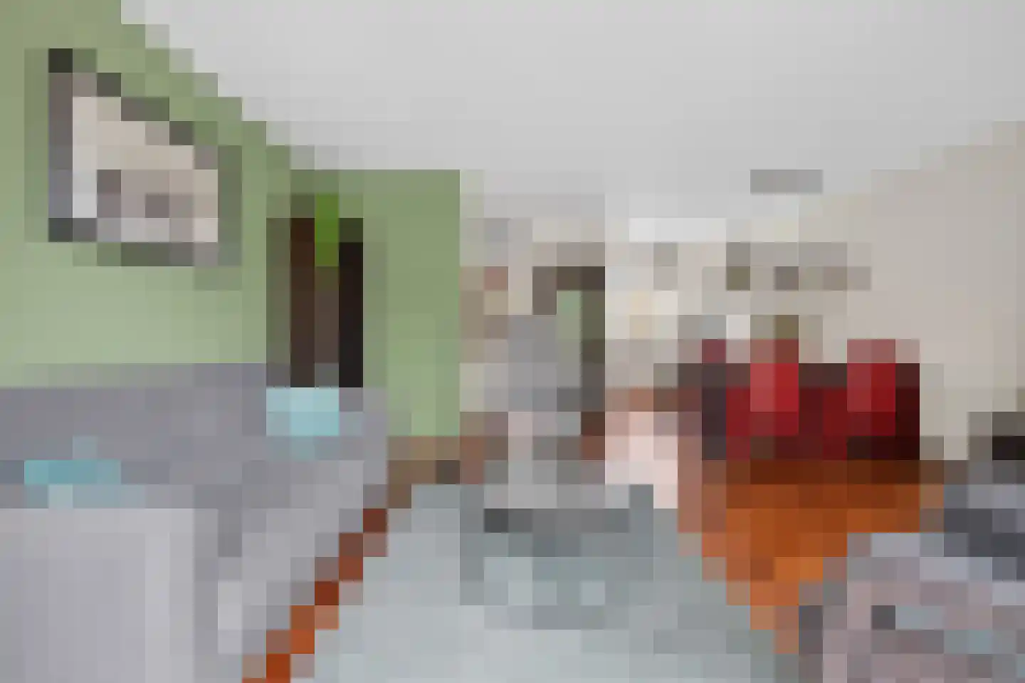 Speenkruid 42 Diemen thumbnail 8
