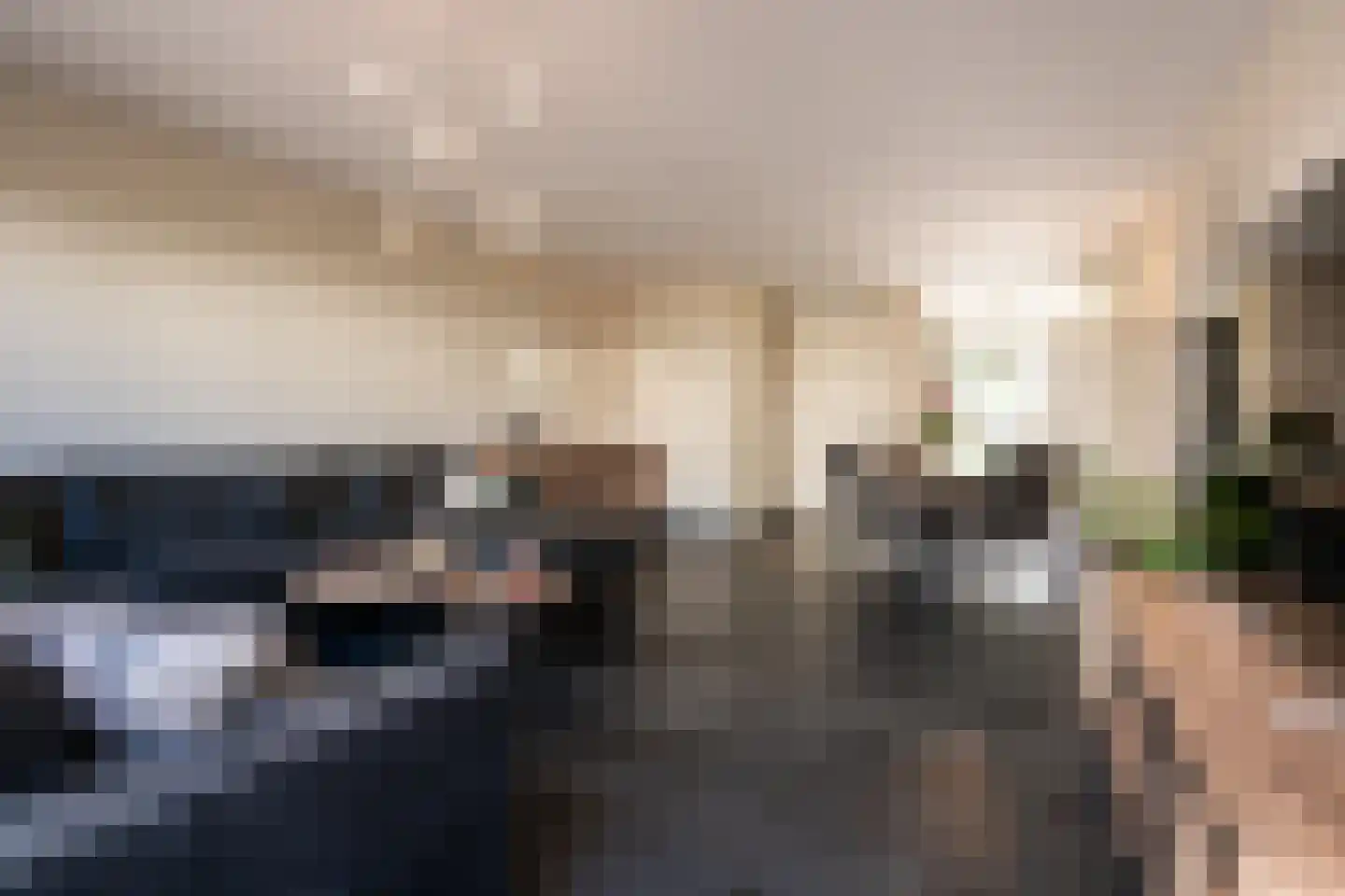 Speenkruid 45 Berghem thumbnail 11
