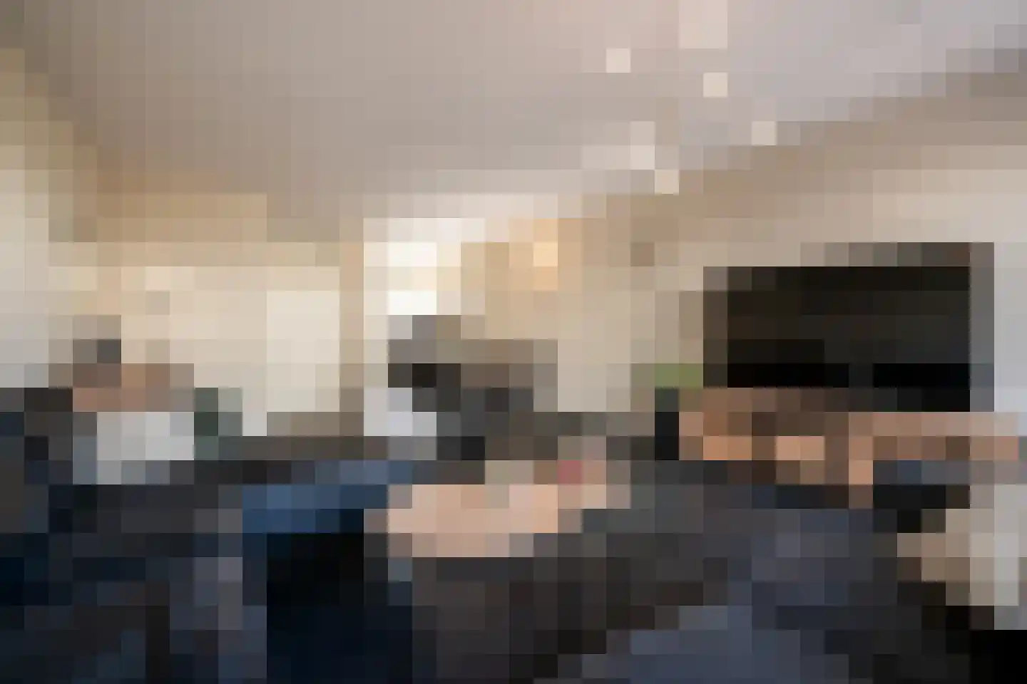 Speenkruid 45 Berghem thumbnail 12