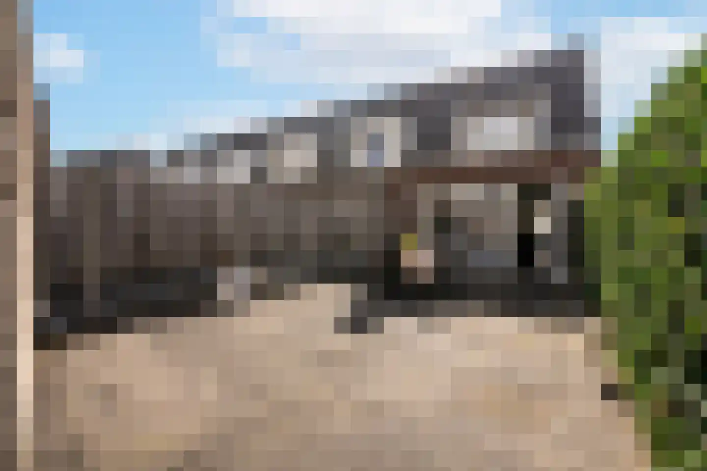 Speenkruid 45 Berghem thumbnail 22