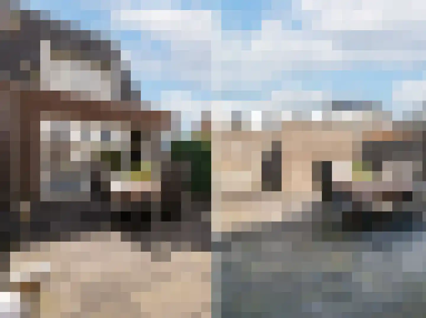 Speenkruid 45 Berghem thumbnail 23