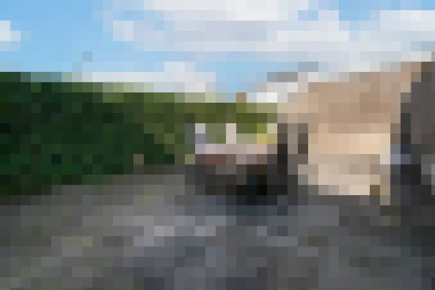 Speenkruid 45 Berghem thumbnail 24