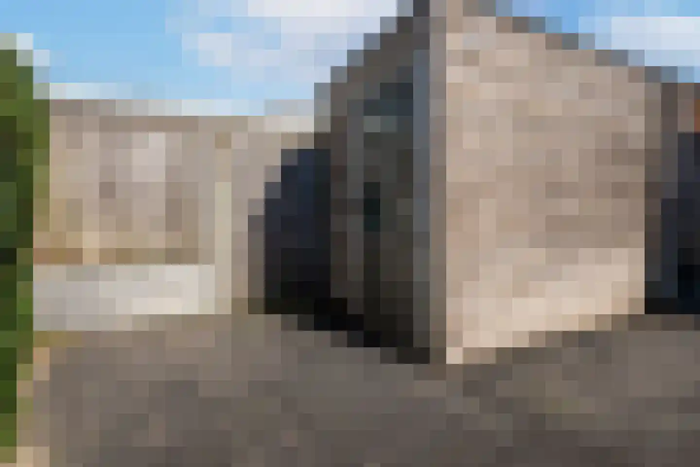 Speenkruid 45 Berghem thumbnail 25