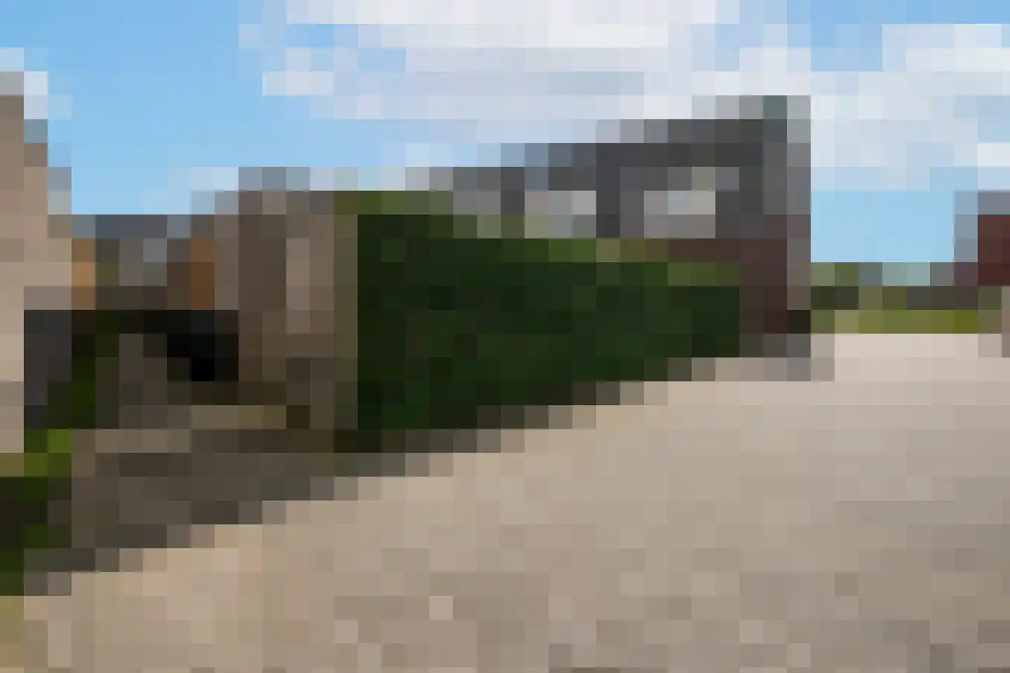 Speenkruid 45 Berghem thumbnail 26
