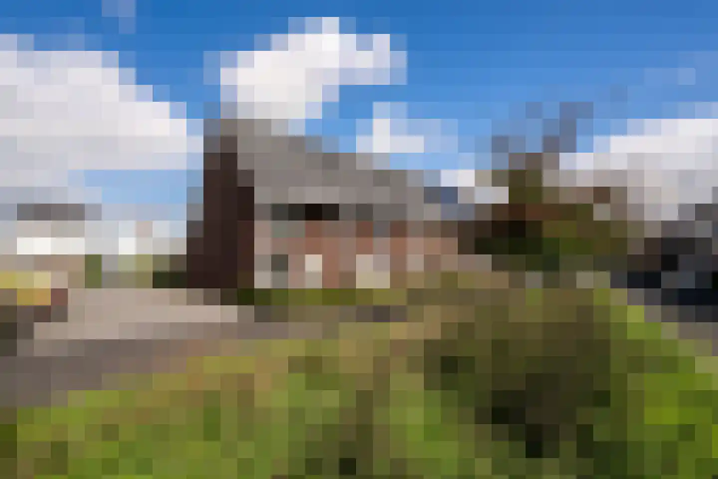 Speenkruid 45 Berghem thumbnail 27