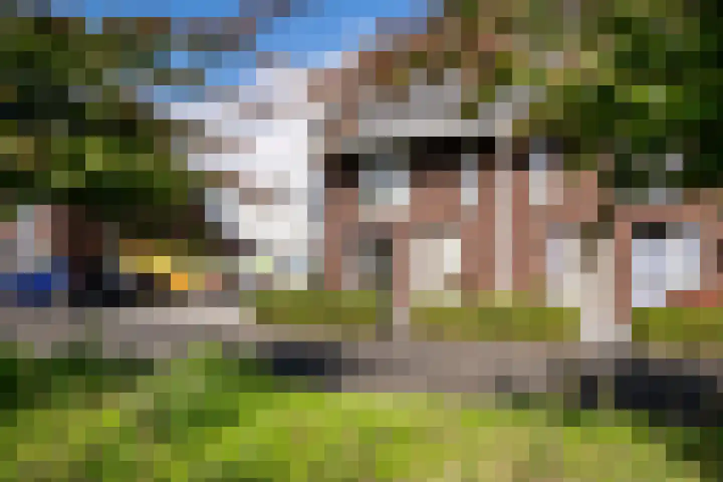 Speenkruid 45 Berghem thumbnail 28