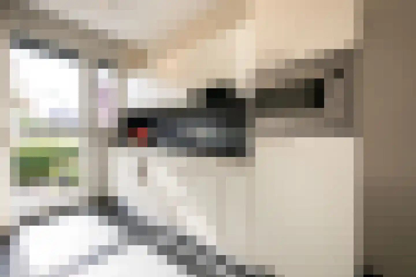Speenkruid 45 Berghem thumbnail 4