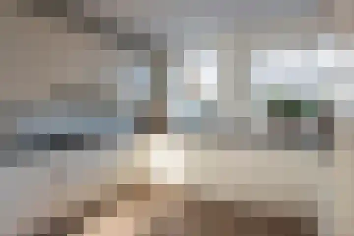 Speenkruid 5 Voorthuizen thumbnail 15