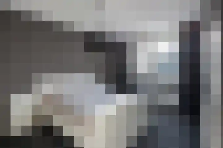 Speenkruid 5 Voorthuizen thumbnail 22