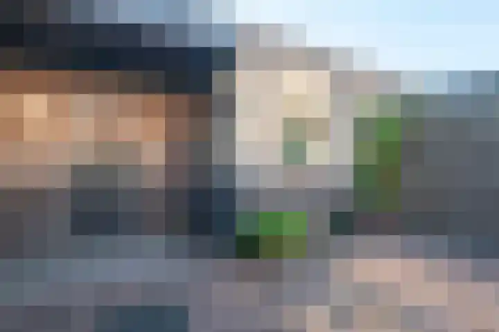 Speenkruid 5 Voorthuizen thumbnail 43