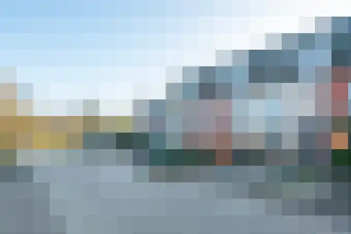 Speenkruid 5 Voorthuizen thumbnail 47