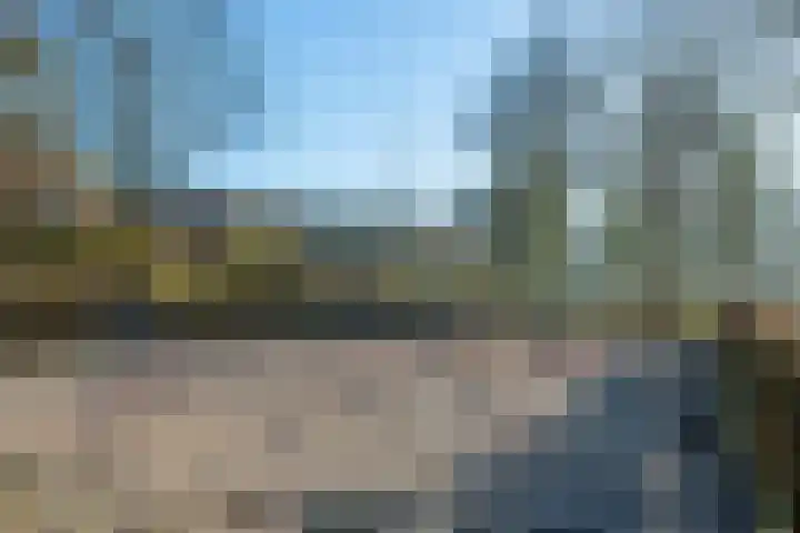Speenkruid 5 Voorthuizen thumbnail 48