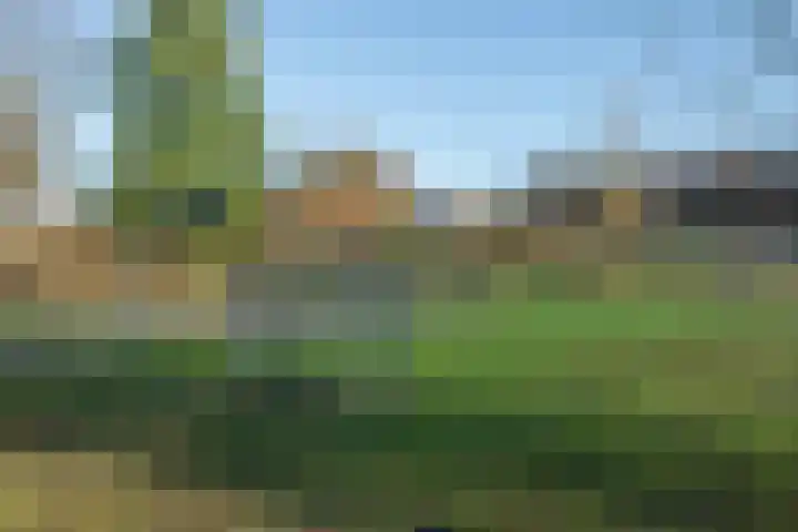 Speenkruid 5 Voorthuizen thumbnail 49
