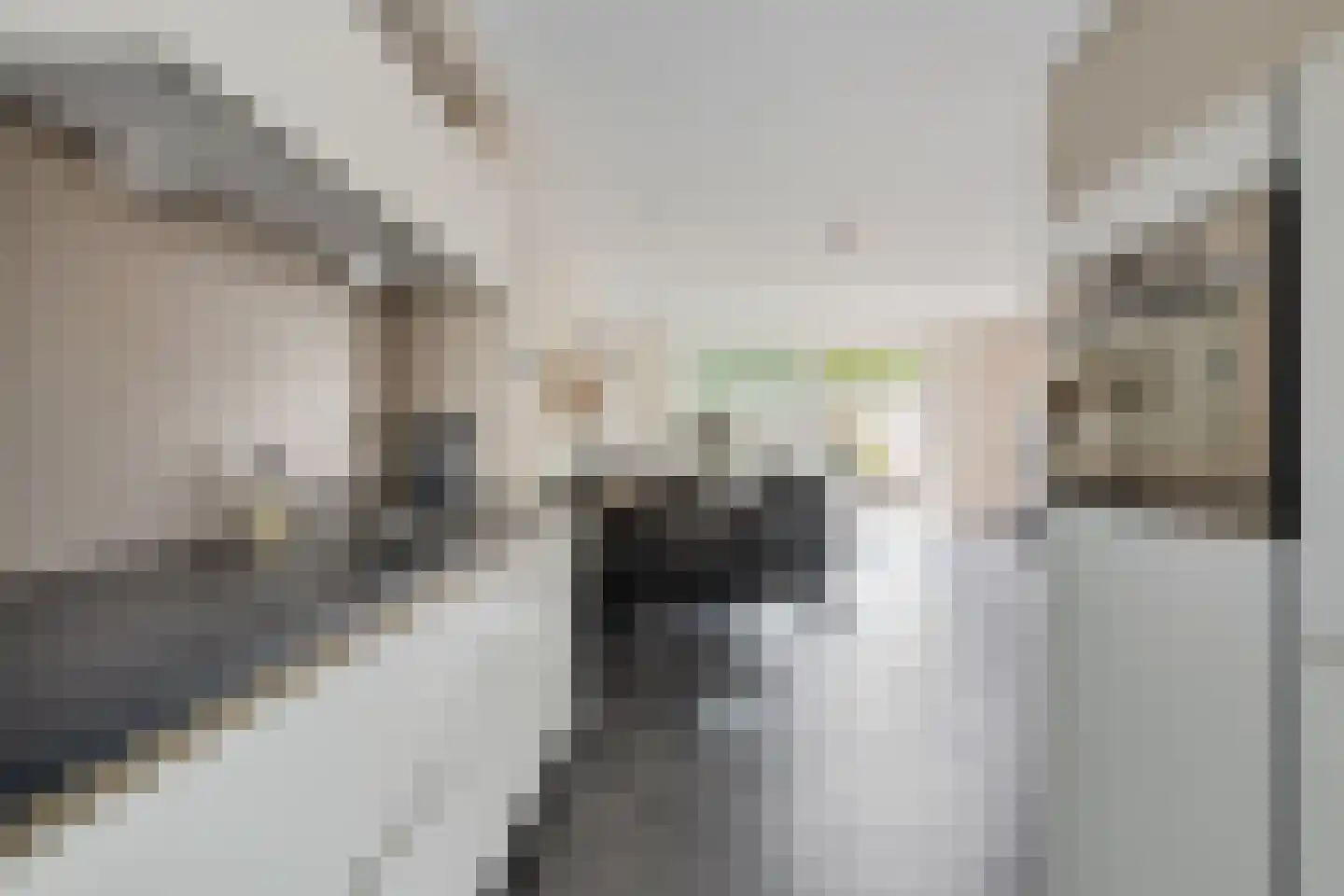 Speenkruid 50 Berghem thumbnail 10