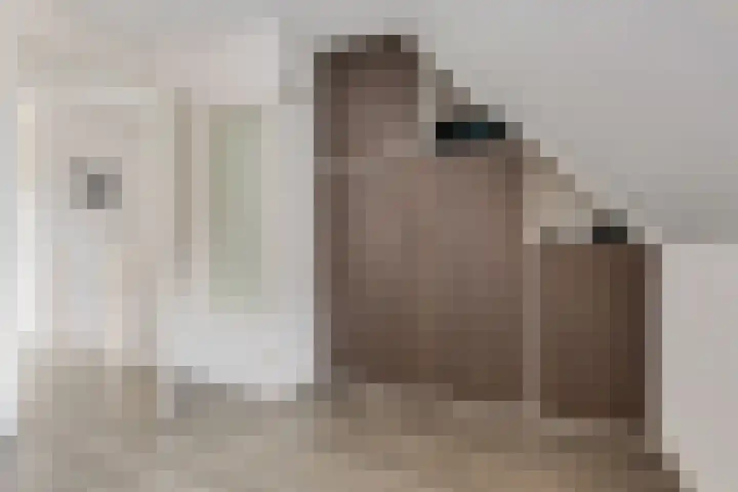 Speenkruid 50 Berghem thumbnail 14