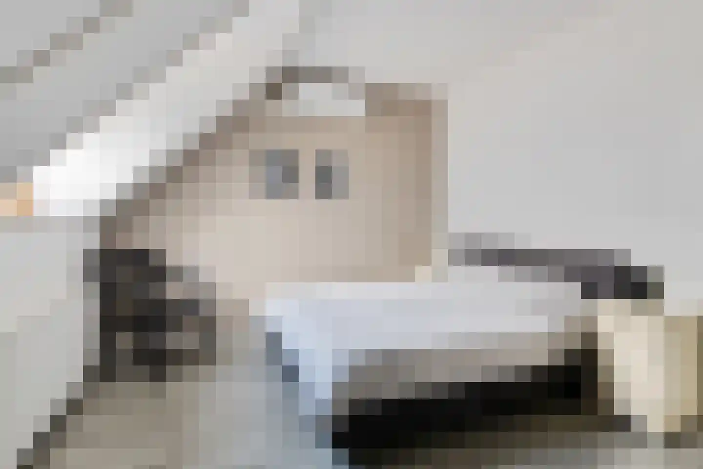 Speenkruid 50 Berghem thumbnail 15