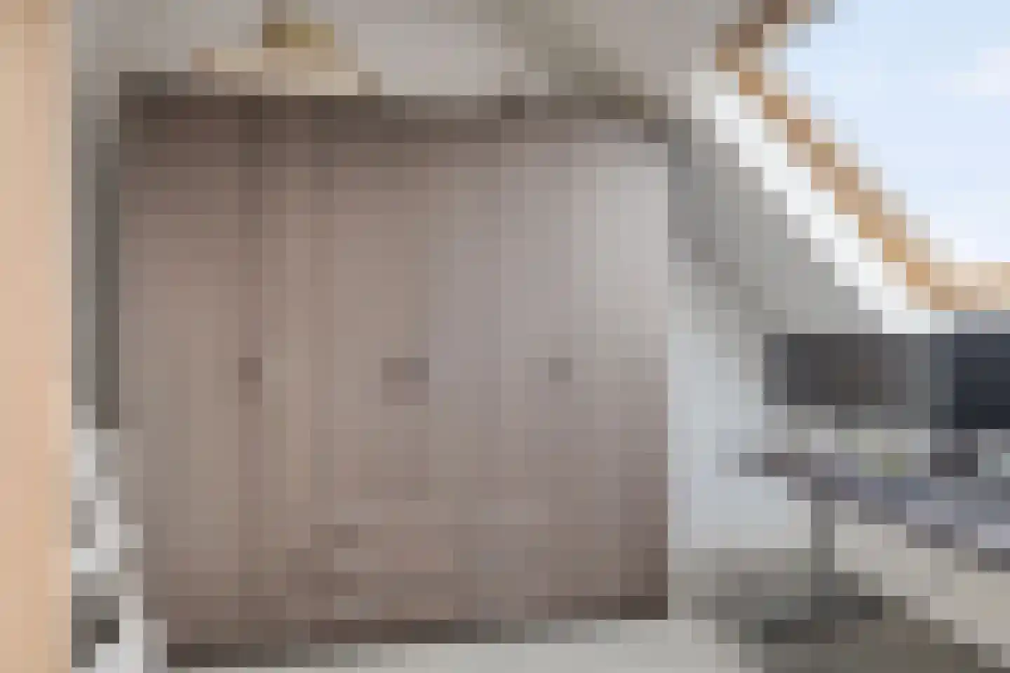 Speenkruid 50 Berghem thumbnail 23