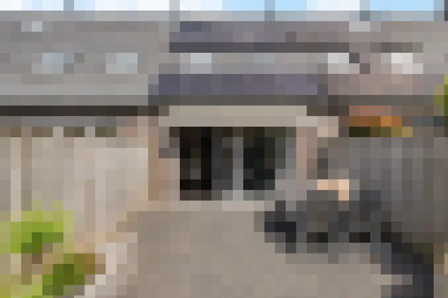 Speenkruid 50 Berghem thumbnail 24