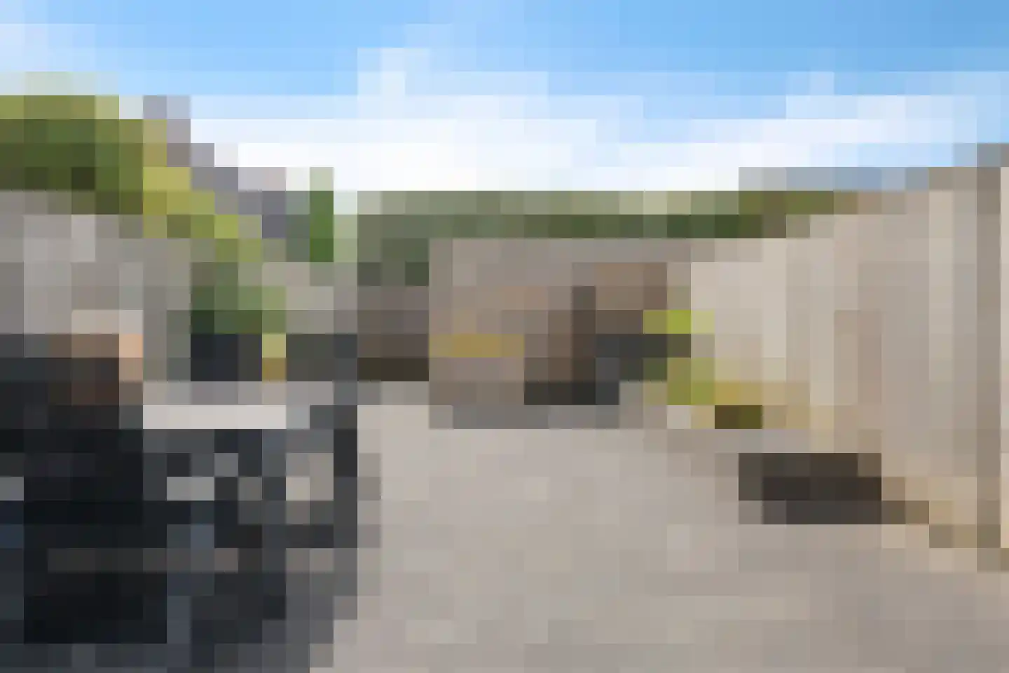 Speenkruid 50 Berghem thumbnail 25