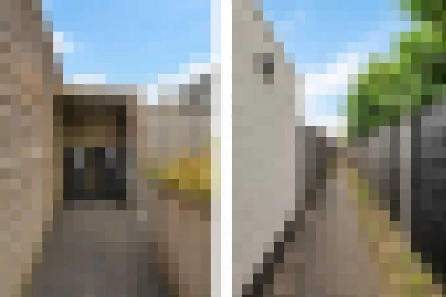 Speenkruid 50 Berghem thumbnail 26