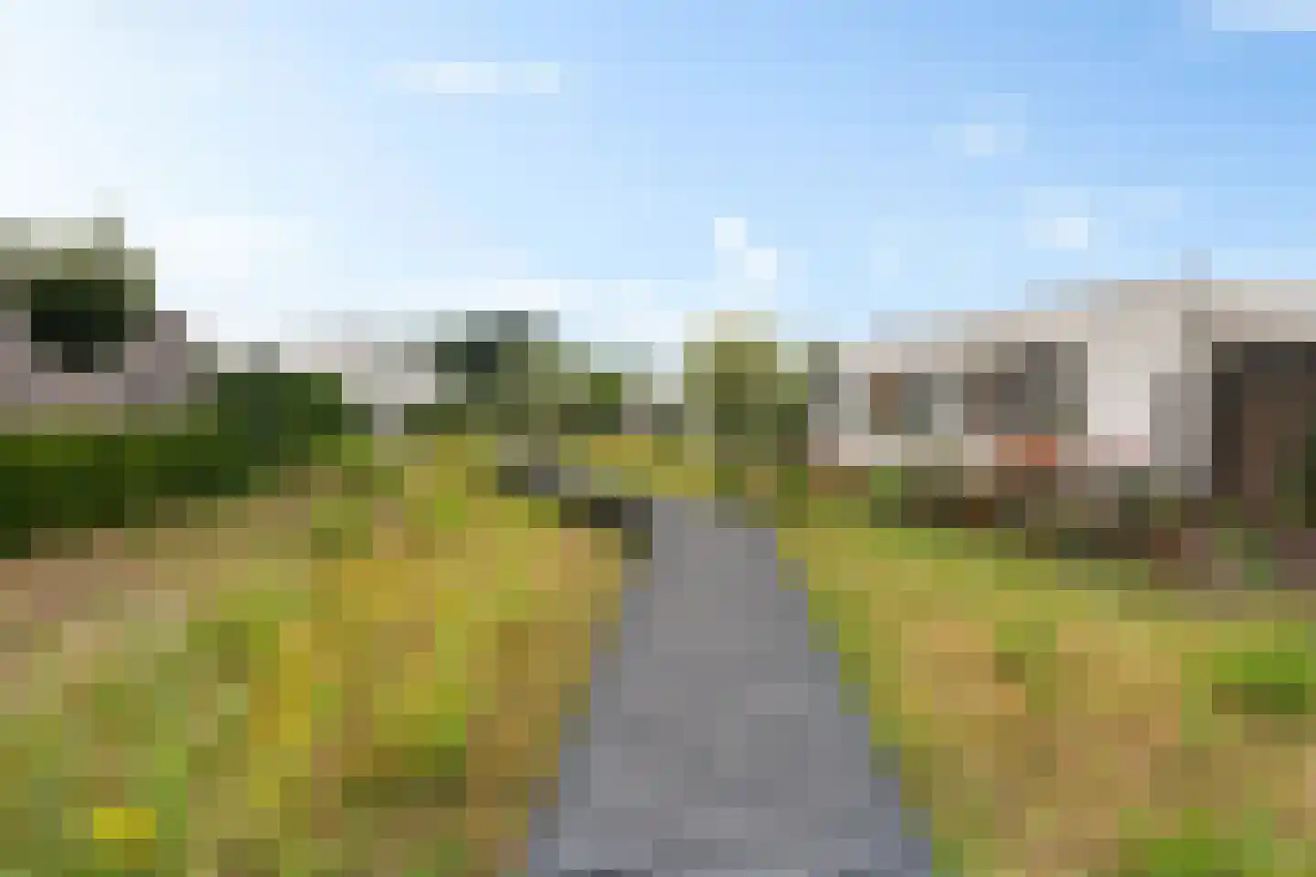 Speenkruid 50 Berghem thumbnail 28