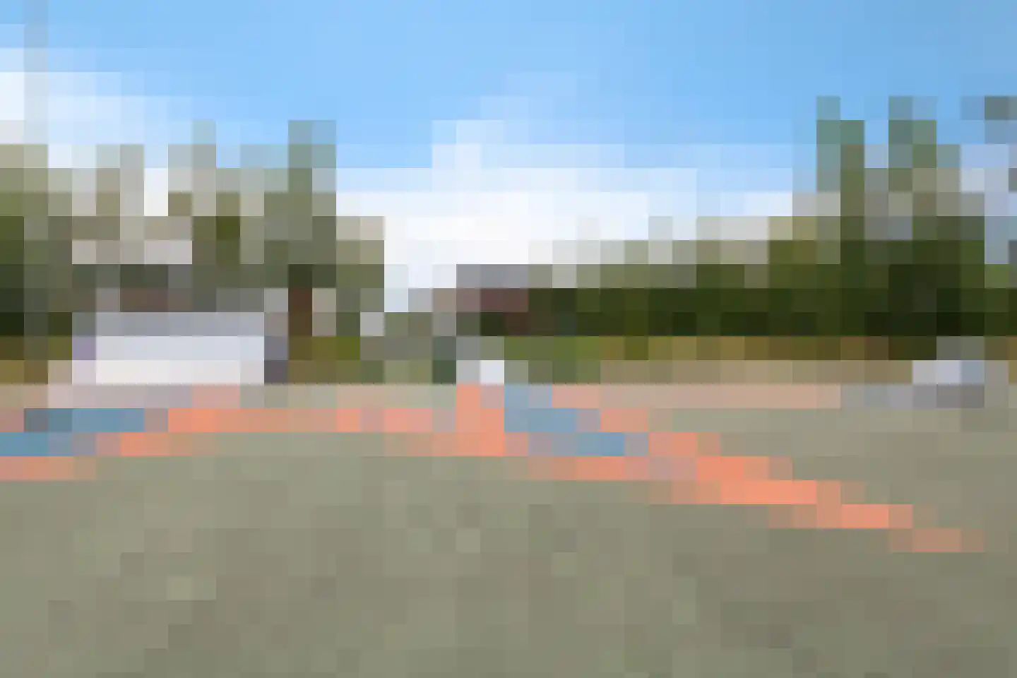 Speenkruid 50 Berghem thumbnail 32