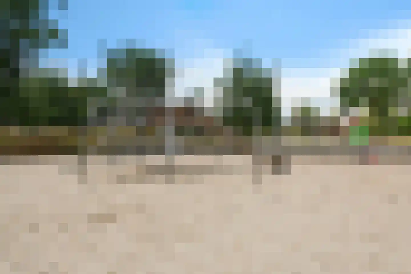 Speenkruid 50 Berghem thumbnail 34