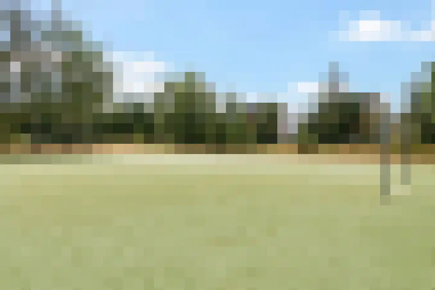 Speenkruid 50 Berghem thumbnail 35