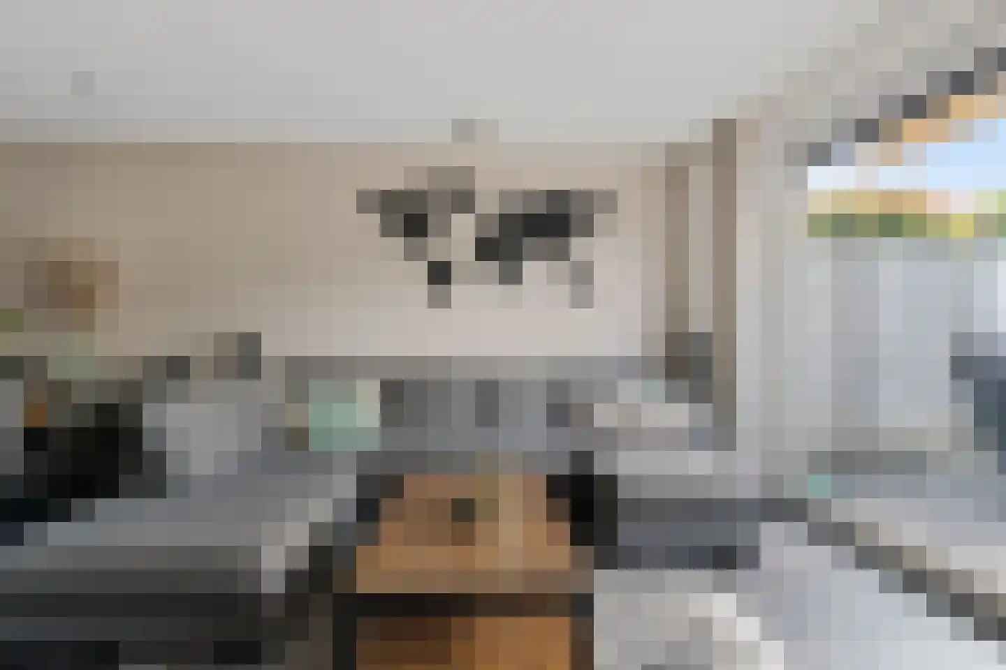 Speenkruid 50 Berghem thumbnail 6