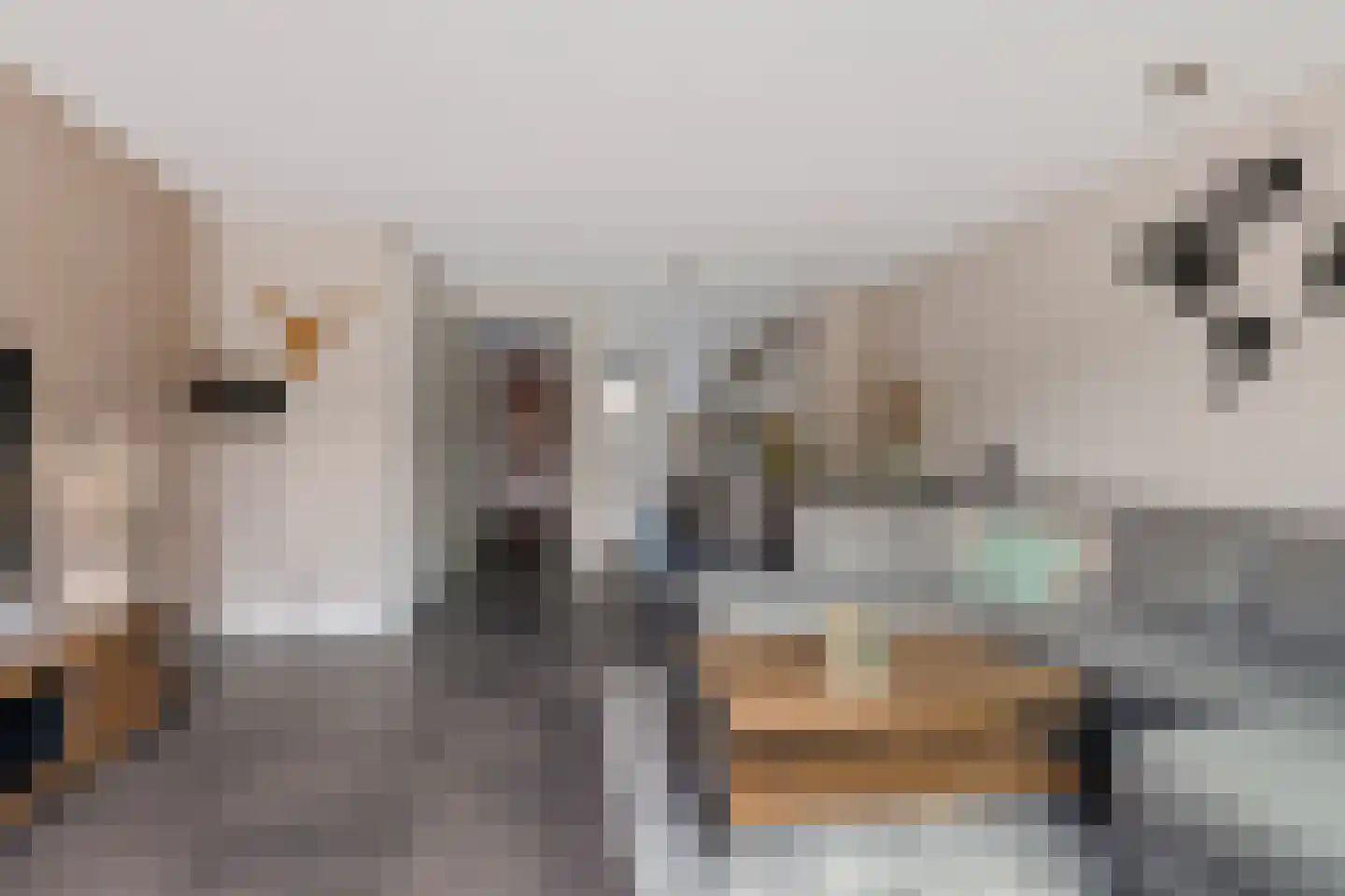 Speenkruid 50 Berghem thumbnail 7