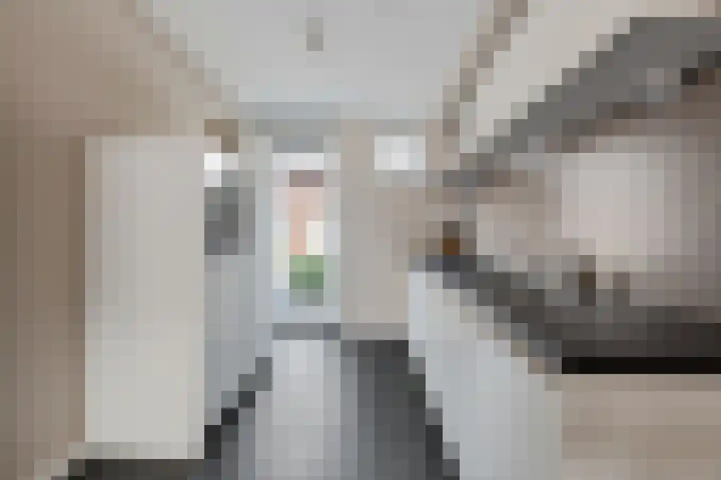 Speenkruid 50 Berghem thumbnail 8
