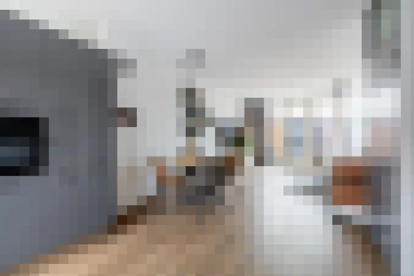 Speenkruid 50 Purmerend thumbnail 10
