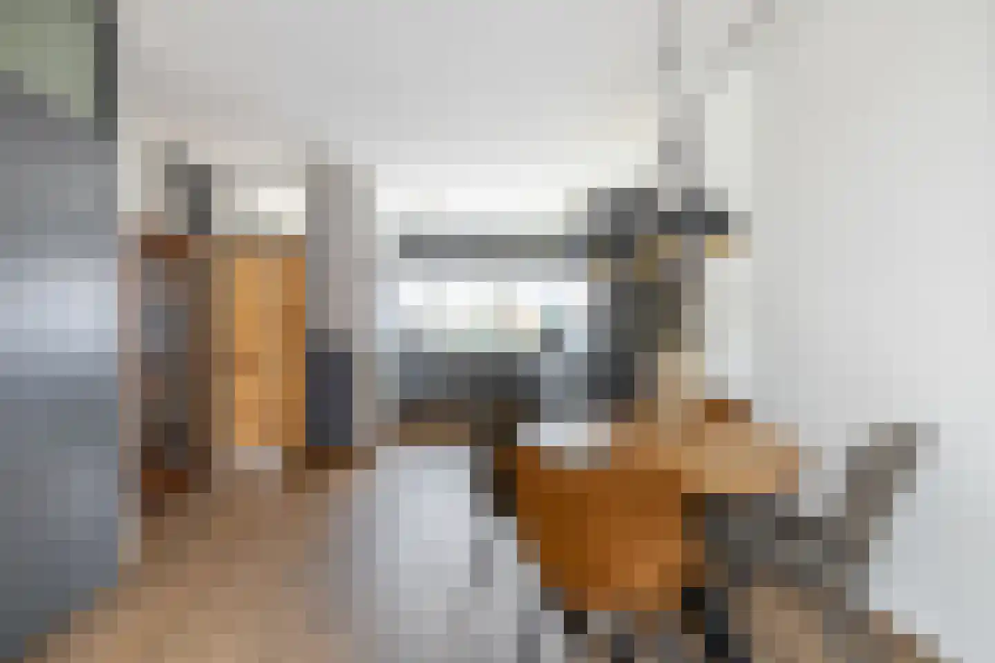 Speenkruid 50 Purmerend thumbnail 14