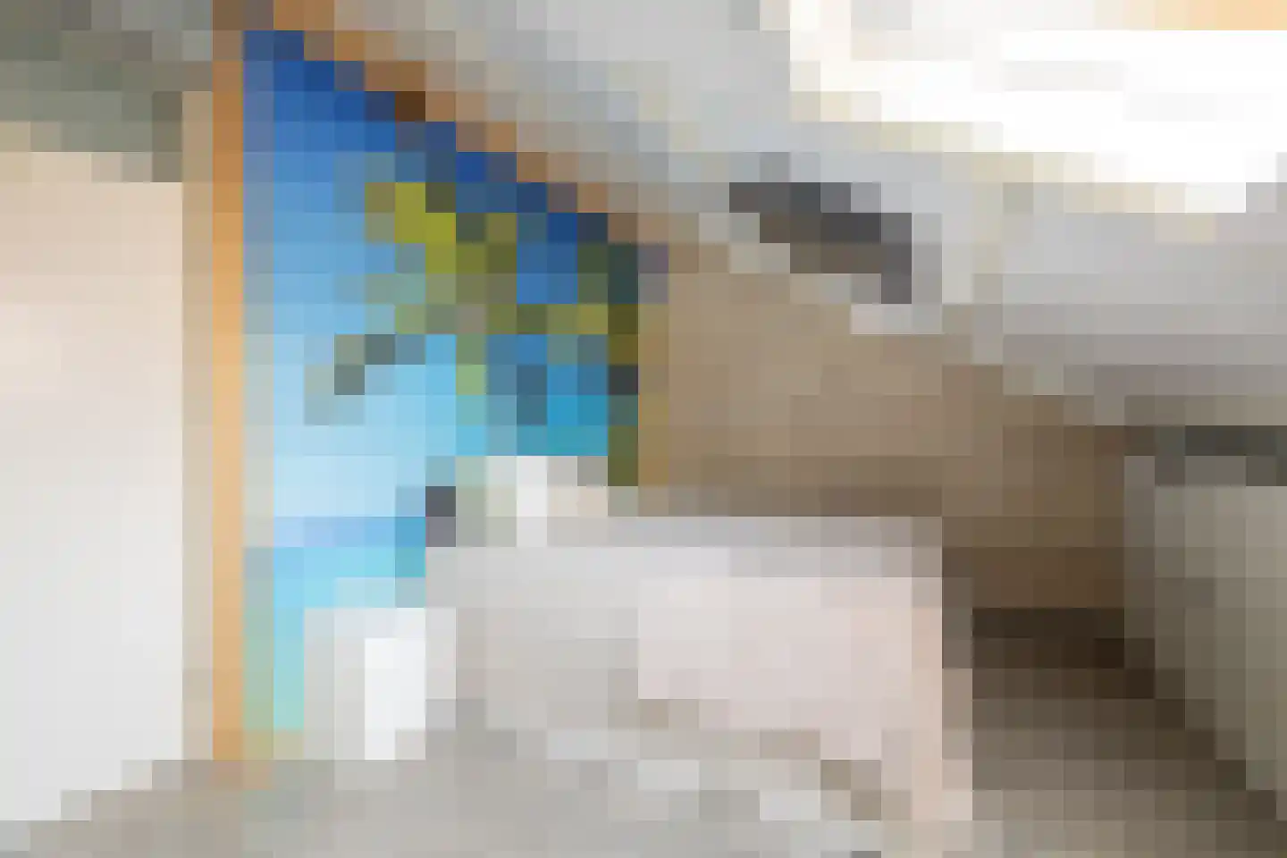 Speenkruid 50 Purmerend thumbnail 22